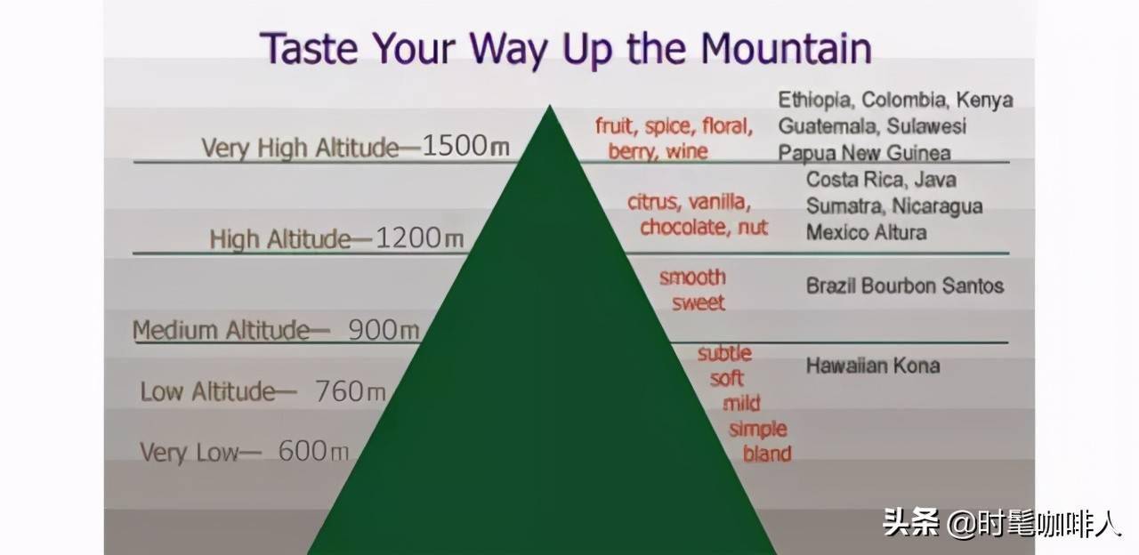 海拔产区的咖啡豆风味更好?PG电子麻将胡了2为什么高(图5) 海拔产区的咖啡豆风味更好?PG电子麻将胡了2为什么高(图5)
