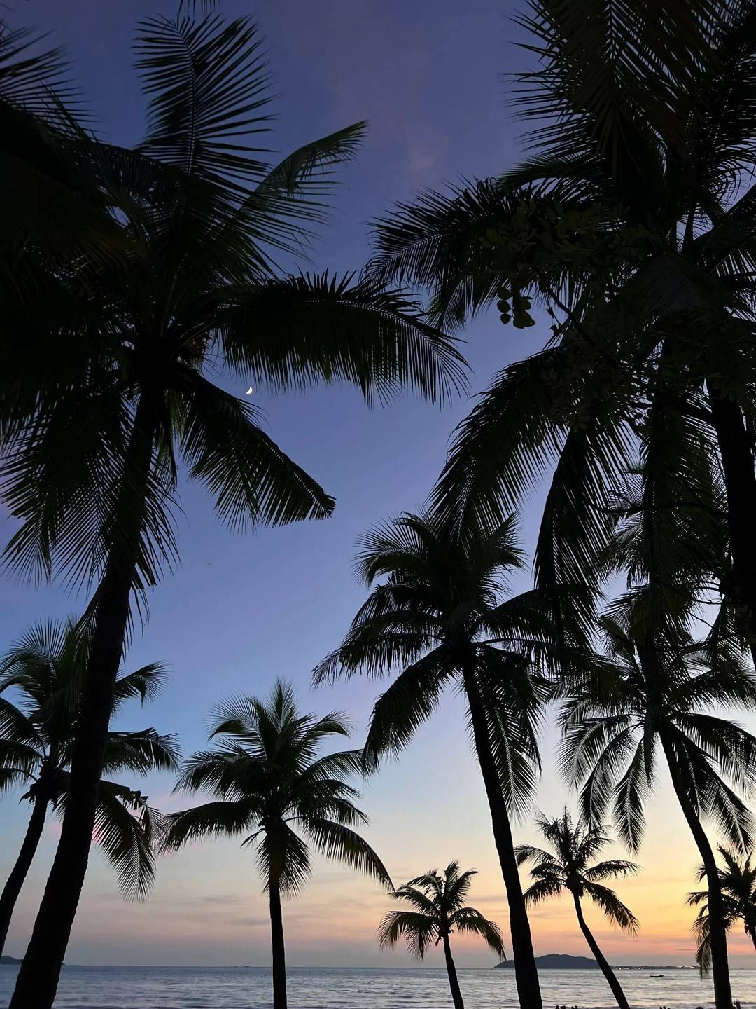 旅游攻略求推荐靠谱导游海南三亚导游联系方